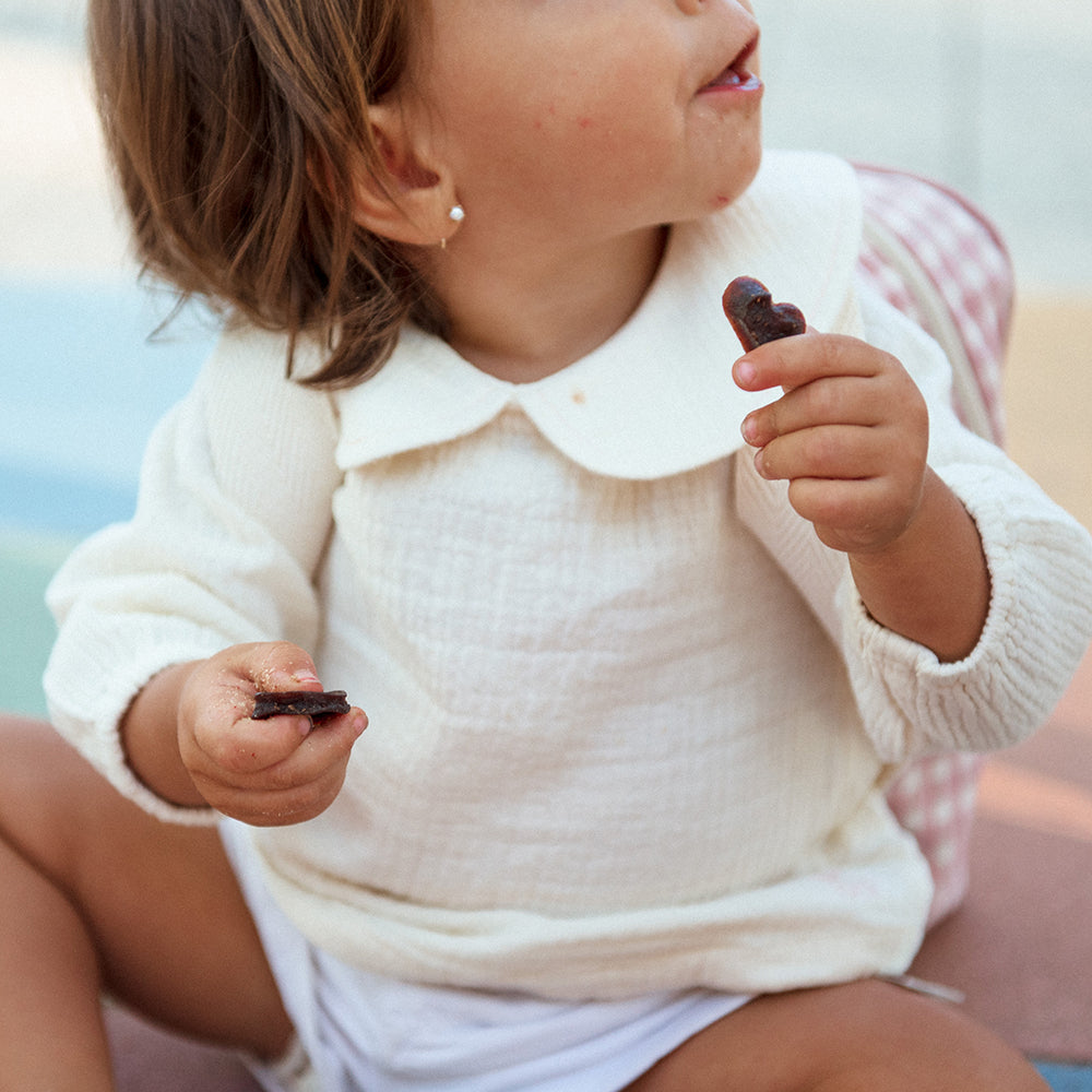 スマイリート（SMILEAT）】有機フルーツスナック｜アップル – カミング