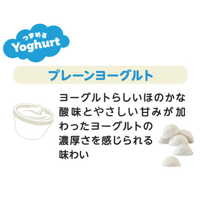 【新商品：2026年1月5日～発送】つまめるヨーグルト｜プレーンヨーグルト 10個セット
